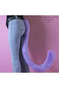 Kitten Tails
