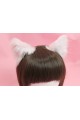 Pink Kitten (Pink Velvet, White Fluffs)