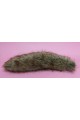 18" Copper Wolf Fox Tail (Pin On)