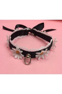 Oopsy Daisy Collar