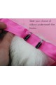 Hook+Base Attachment for Tails (Custom Orders ONLY!)
