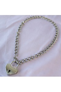 Lockable Day Collar
