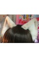 Champagne Cat Ears (Realistic Cat Pattern/ No front fluffs)