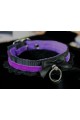 Bad Kitty Collar (Buckled/ Purple)