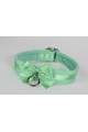 Mint Green Buckled Collar