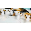 Calico Realistic Cat Ears