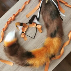Orange Calico Kitten Set