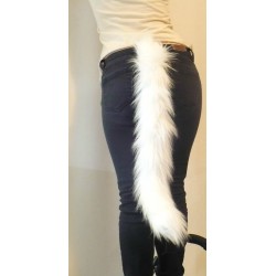 24" Cat Tails